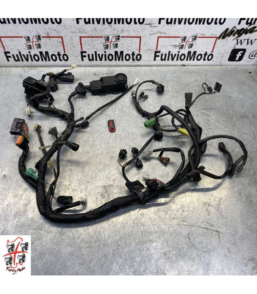 Faisceau électrique SUZUKI GLADIUS 650 - 2011
