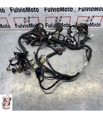 Faisceau électrique KTM DUKE 690 - 2016