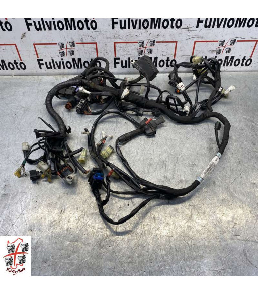 Faisceau électrique KTM DUKE 690 - 2016