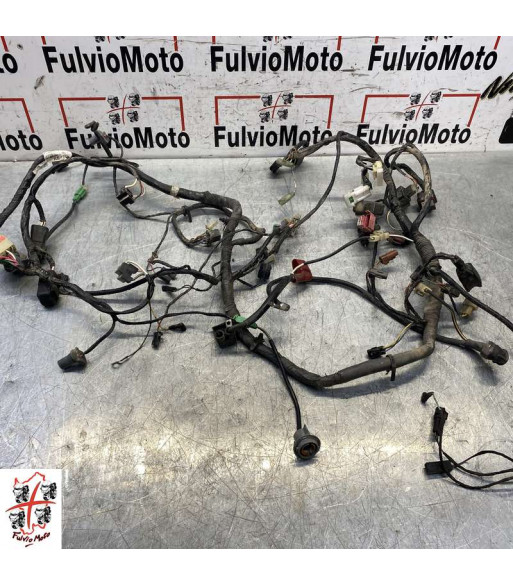 Faisceau électrique KAWASAKI ZZR 1200 - 2002