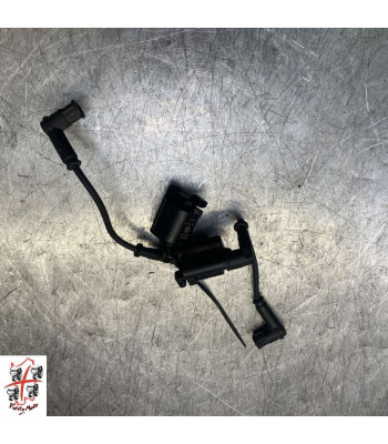 Bobine allumage DUCATI MONSTER 797 - 2017