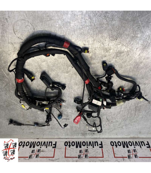 Faisceau électrique DUCATI MONSTER 797 - 2017