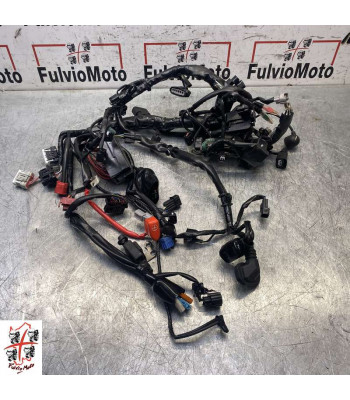 Faisceau électrique HONDA HORNET 750 - 2024