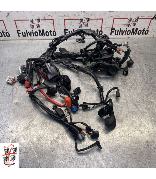 Faisceau électrique HONDA HORNET 750 - 2024