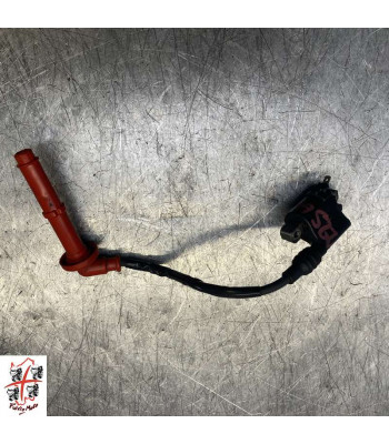 Bobine allumage HONDA HORNET 750 - 2024