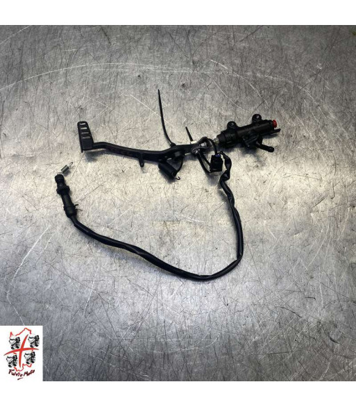 Pédale de frein HONDA HORNET 750 - 2024