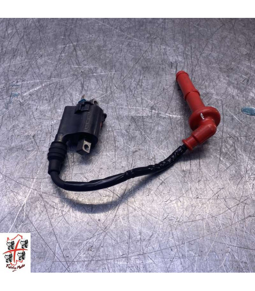 Bobine allumage HONDA HORNET 750 - 2024