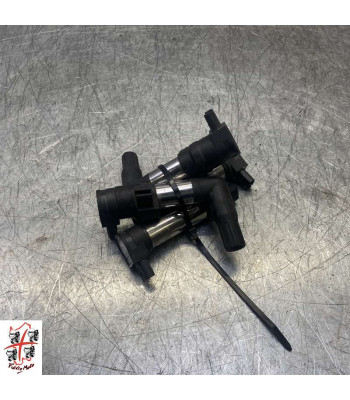 Bobine allumage BMW R1200R - 2014