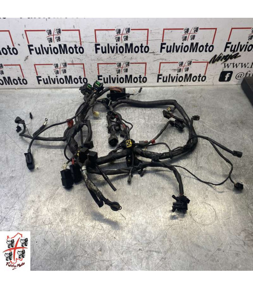 Faisceau électrique TRIUMPH SPRINT RS 955 - 2005