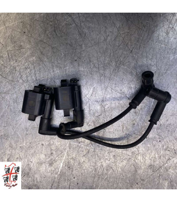 Bobine allumage DUCATI SCRAMBLER 800 - 2019