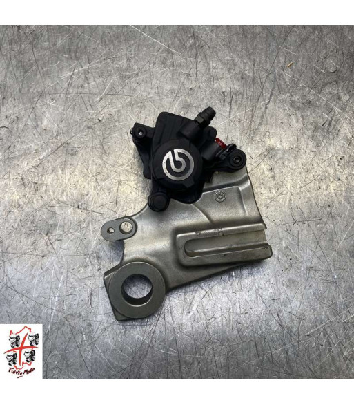 Etrier de frein Arrière DUCATI SCRAMBLER 800 - 2019