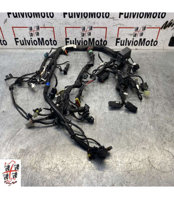 Faisceau électrique DUCATI SCRAMBLER 800 - 2019