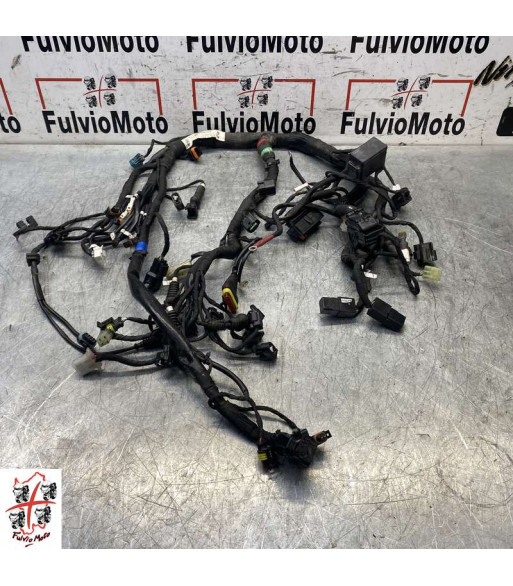 Faisceau électrique DUCATI SCRAMBLER 800 - 2019