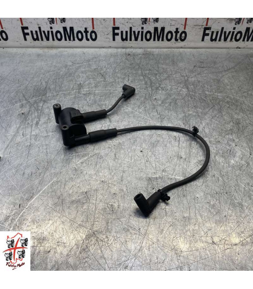 Bobine allumage HARLEY-DAVIDSON FAT BOY - 2013