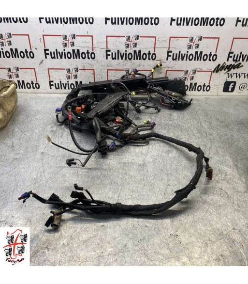 Faisceau électrique HARLEY-DAVIDSON FAT BOY - 2013