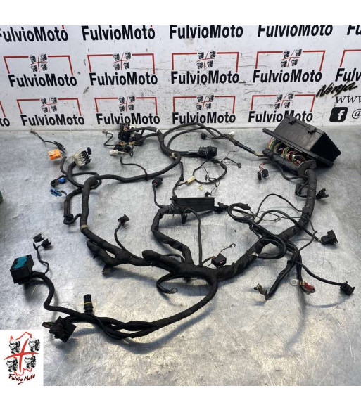 Faisceau électrique BMW R1150RT - 2001