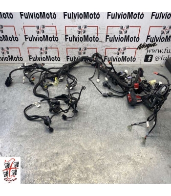 Faisceau électrique KTM SUPER DUKE R 1290 - 2023