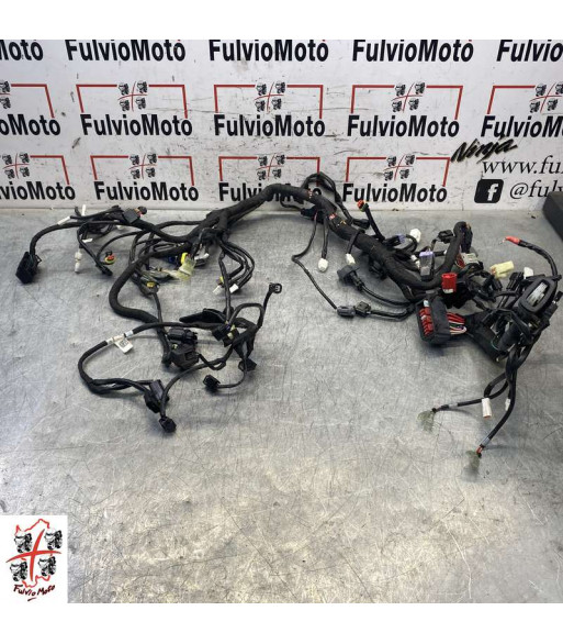 Faisceau électrique KTM SUPER DUKE R 1290 - 2023