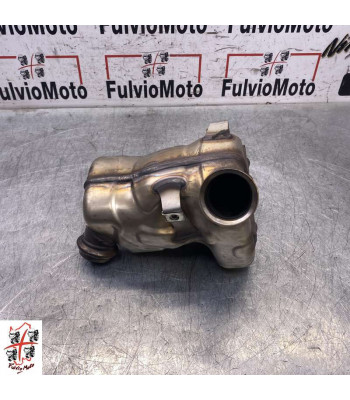 Catalyseur KTM DUKE 890 - 2022