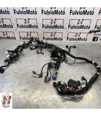 Faisceau électrique KTM DUKE 890 - 2022