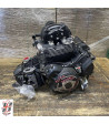 Moteur DUCATI SCRAMBLER 800 - 2019