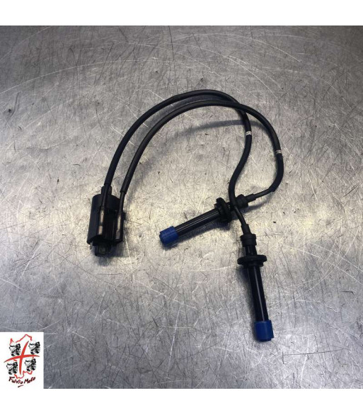 Bobine allumage YAMAHA T-MAX 560 - 2022