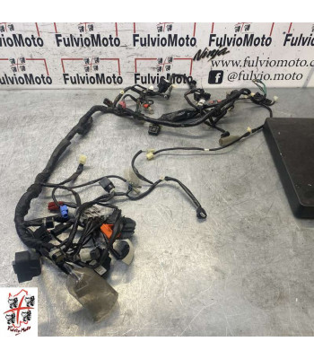 Faisceau électrique HONDA FORZA 300 - 2018