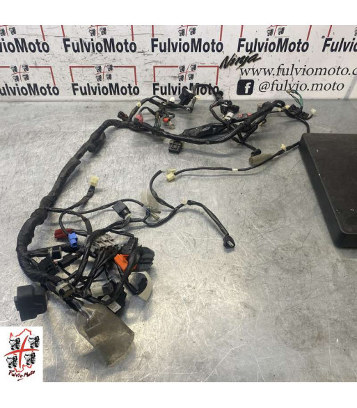Faisceau électrique HONDA FORZA 300 - 2018 Faisceau électrique HONDA FORZA 300 - 2018