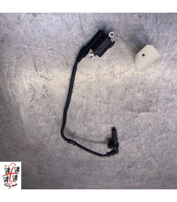 Bobine allumage HONDA FORZA 300 - 2018