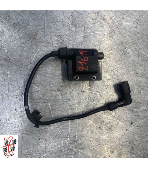 Bobine allumage PEUGEOT GEOPOLIS 125 - 2007