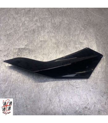 Flanc de carénage Droit BMW F900XR - 2024