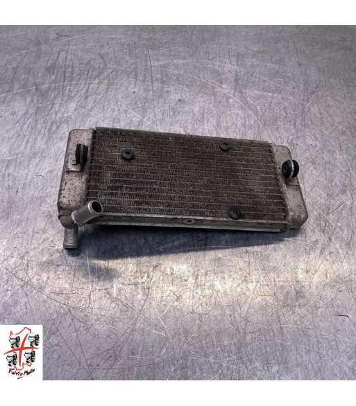 Radiateur d'eau YAMAHA X-CITY 125 - 2008