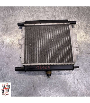 Radiateur d'eau PEUGEOT SATELIS 125 - 2008