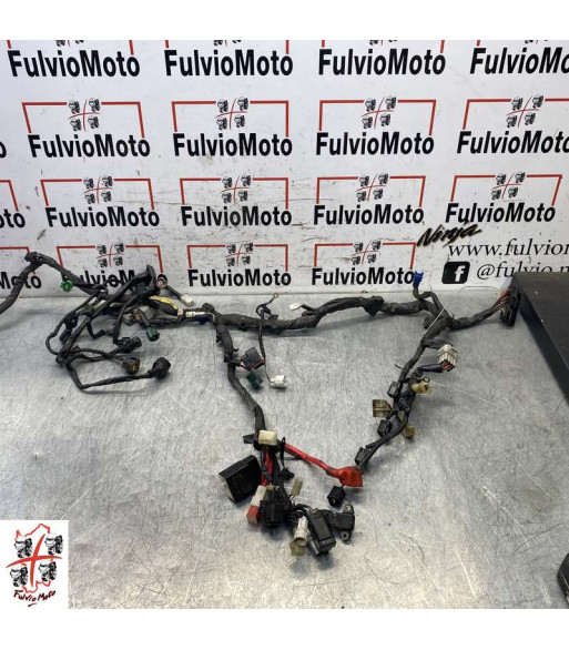 Faisceau électrique YAMAHA R1 - 2004 - 2006