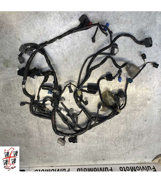 Faisceau électrique KAWASAKI Z650RS - 2023