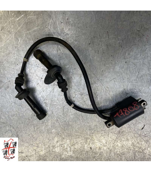 Bobine allumage SUZUKI GSF 1250 - 2002
