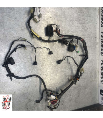Faisceau électrique YAMAHA FAZER 600 - 2000