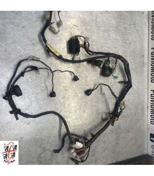 Faisceau électrique YAMAHA FAZER 600 - 2000