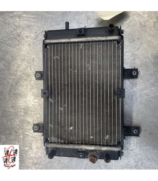 Radiateur d'eau SYM GTS 250 - 2008