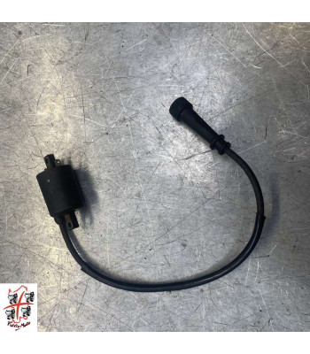 Bobine allumage Gauche SYM GTS 250 - 2008