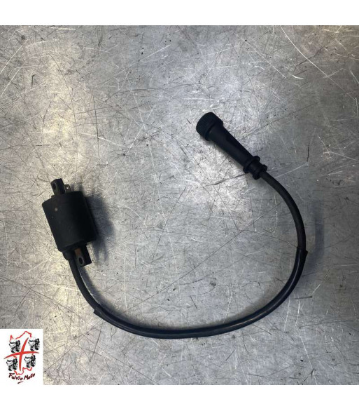 Bobine allumage Gauche SYM GTS 250 - 2008 Bobine allumage Gauche SYM GTS 250 - 2008