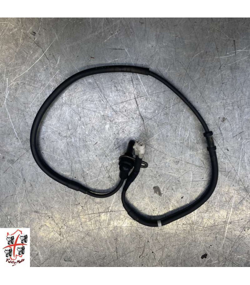 Capteur ABS Arrière YAMAHA MT07 - 2019