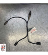 sonda lambda BMW f900r - 2022