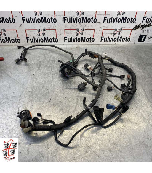 Faisceau électrique SUZUKI BANDIT 650 - 2009-2015