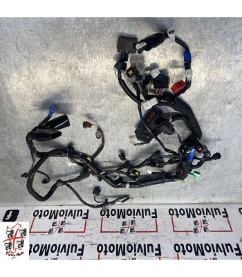 Faisceau électrique SUZUKI SV 650 - 2016-2026