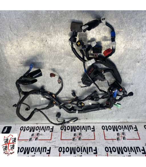 Faisceau électrique SUZUKI SV 650 - 2016-2026