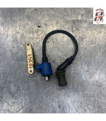 Bobine allumage PIAGGIO X9 125 - 2001
