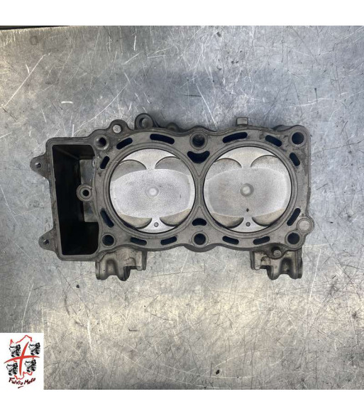 Bloc cylindre et pistons KAWASAKI ER6 - 2006-2008