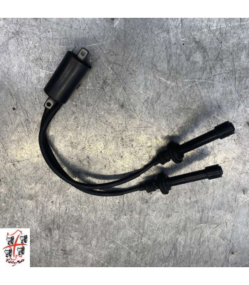Bobine allumage YAMAHA T-MAX 530 - 2015
