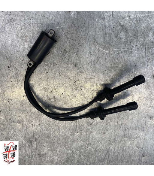 Bobine allumage YAMAHA T-MAX 530 - 2015